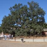 Paramount_082 (October 18, 2014)